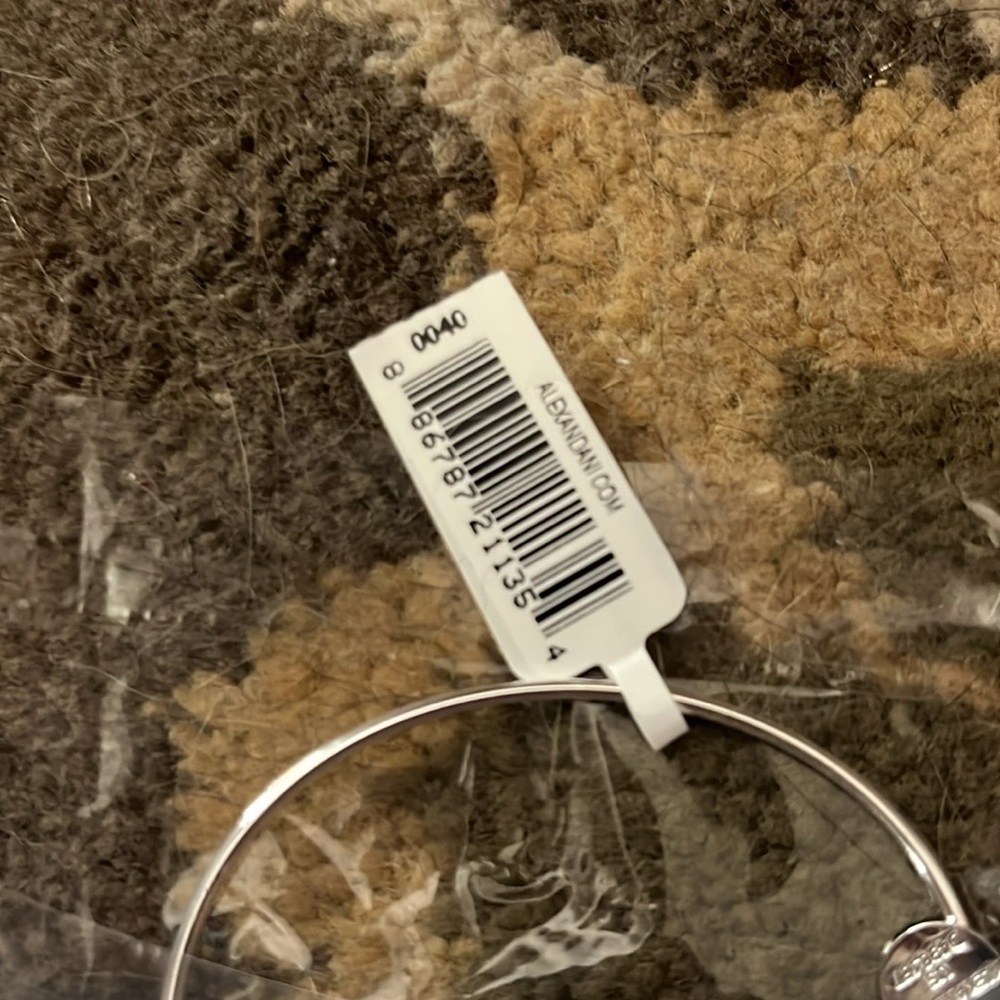 Alex and Ani Silver Bangle with Red Bird Charm - Picture 3 of 6